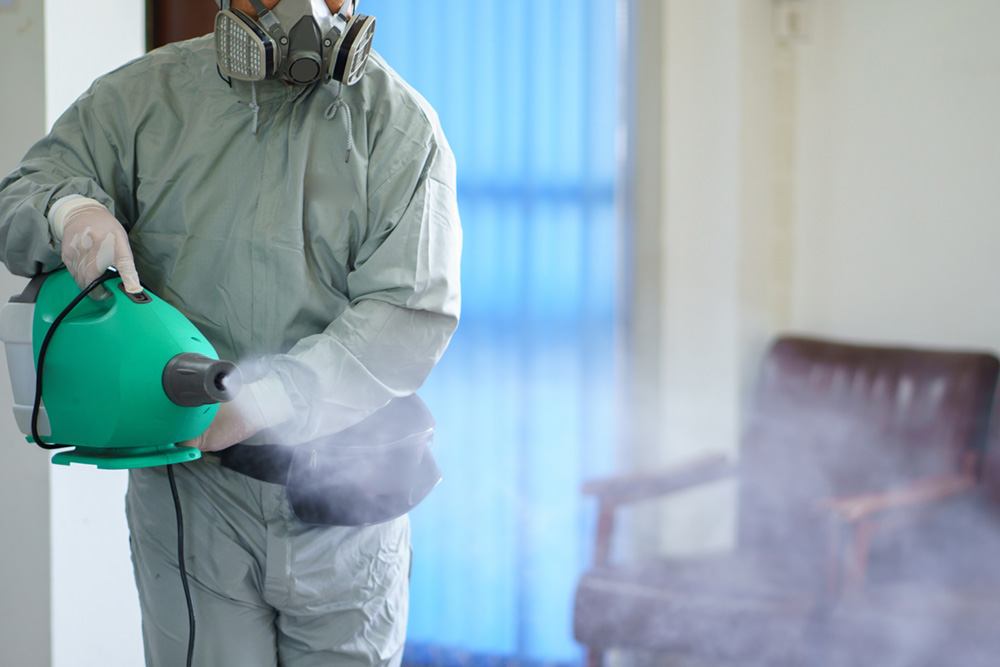 Eliminate COVID-19 and Protect Your Surfaces from Bacteria for 90 Days Image
