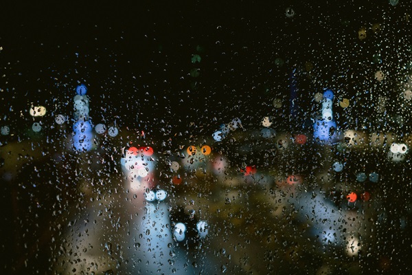 polina rytova FCZ9nvyBZdE unsplash