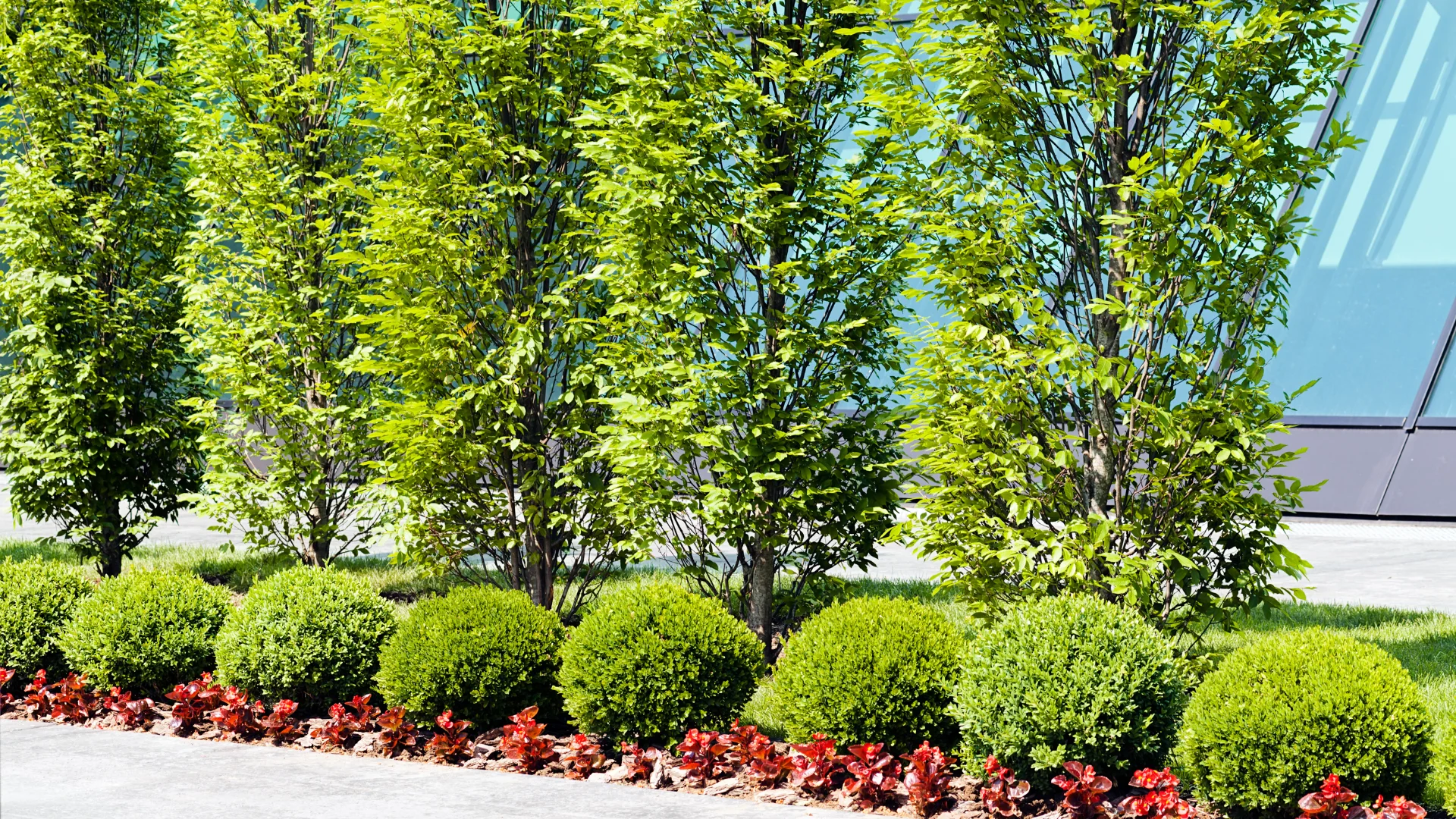 Landscaping Services
