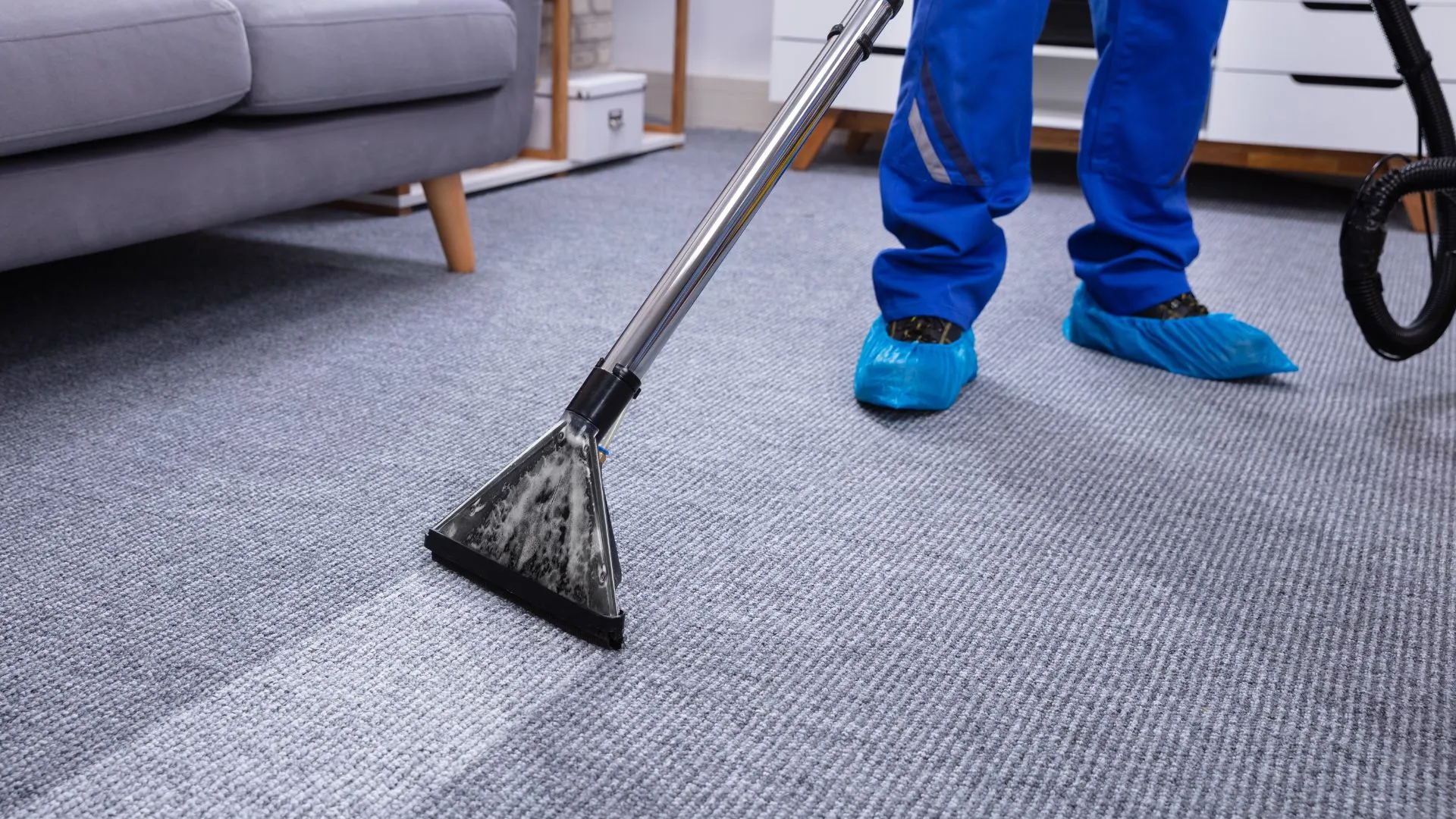 carpet maintenance
